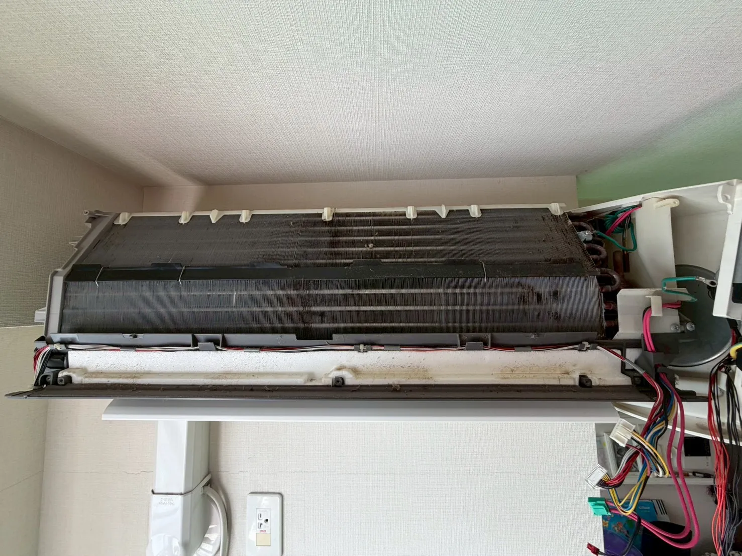 分解して内部を洗浄